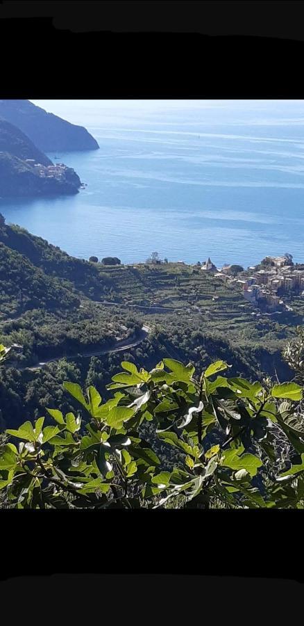 Affittacamere Il Timone Corniglia Exteriör bild