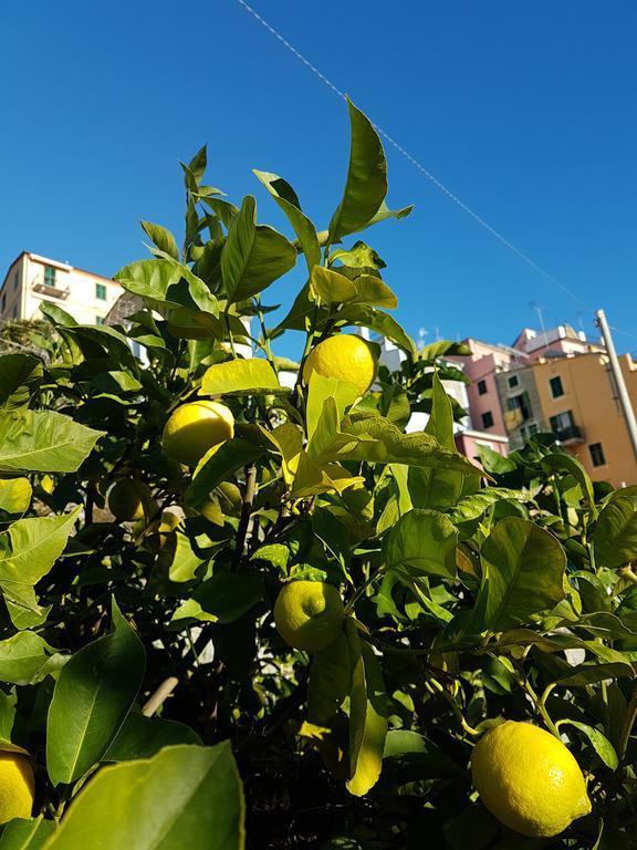 Affittacamere Il Timone Corniglia Exteriör bild