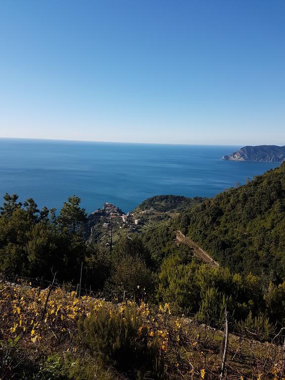 Affittacamere Il Timone Corniglia Exteriör bild