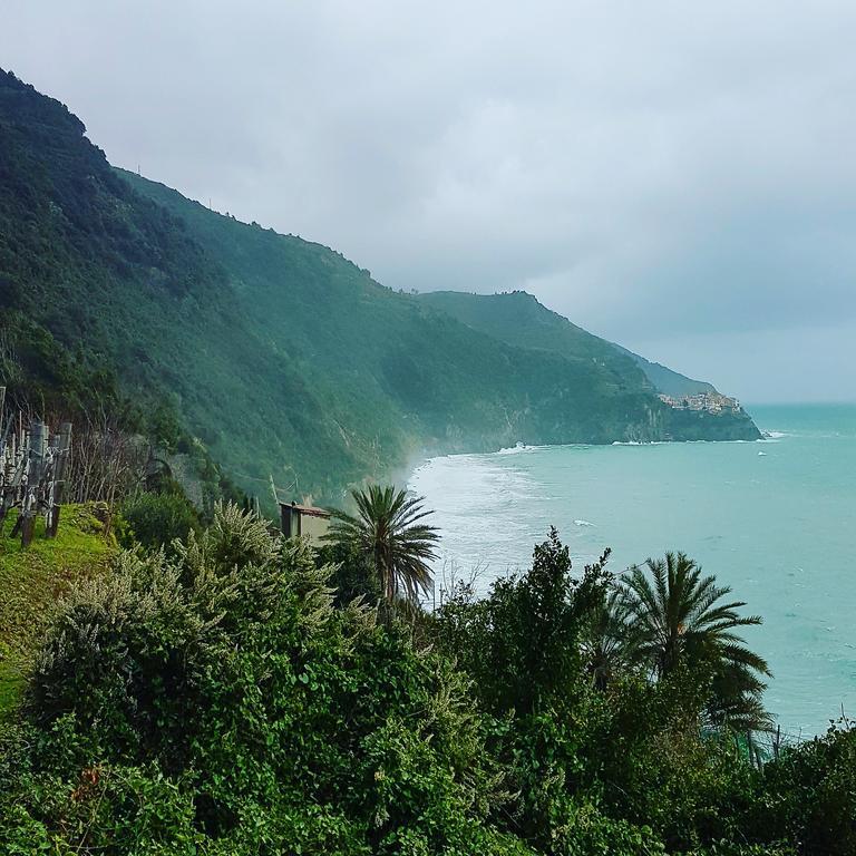 Affittacamere Il Timone Corniglia Exteriör bild