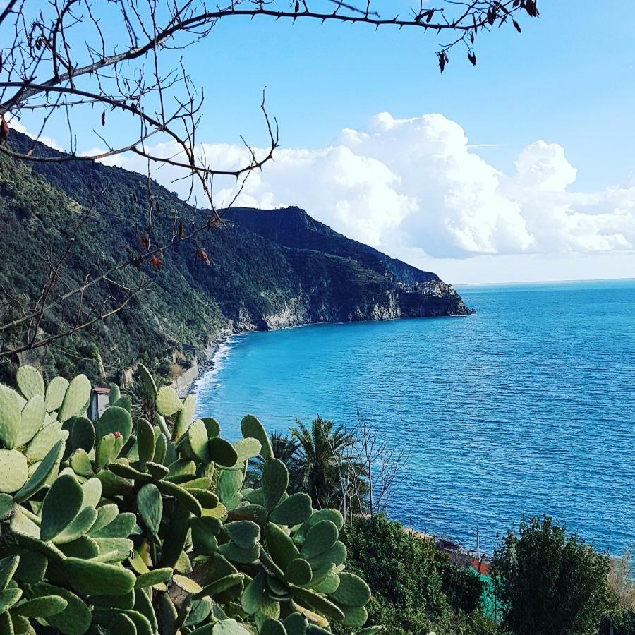 Affittacamere Il Timone Corniglia Exteriör bild